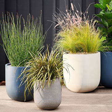Radius Indoor/Outdoor Planters | West Elm (US)