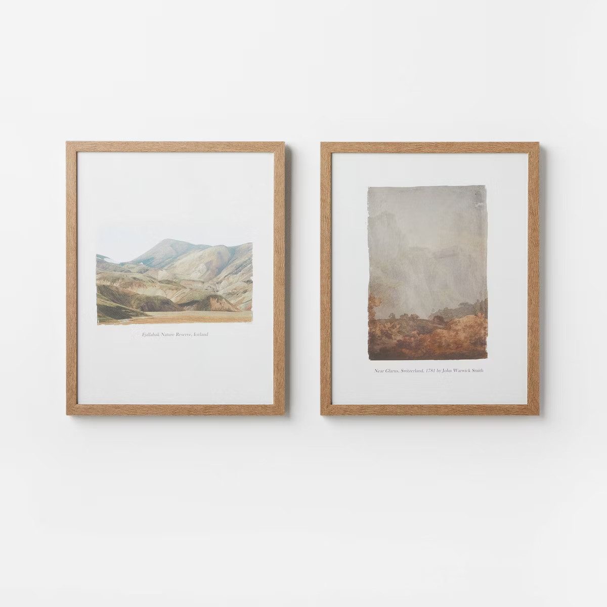 (Set of 2) 16" x 20" Glass Textbook Framed Prints - Threshold™ designed with Studio McGee: Trad... | Target