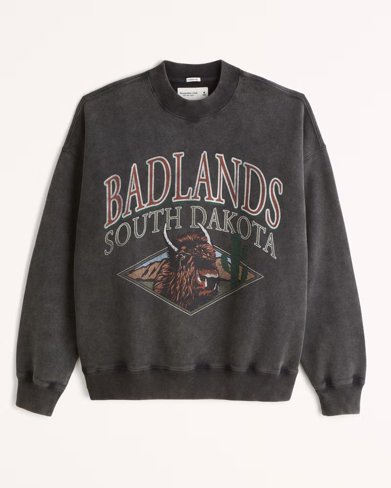 Badlands Park Graphic Crew Sweatshirt | Abercrombie & Fitch (US)