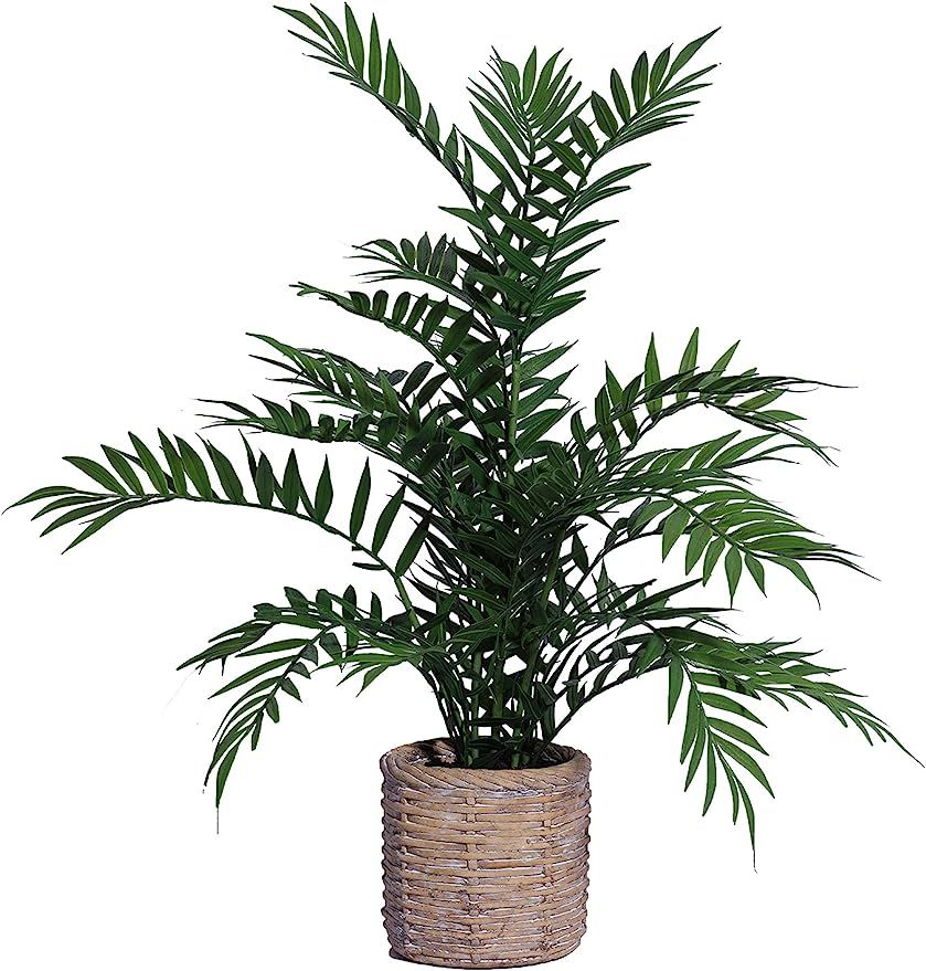 SN Decor Fern Artificial Plants 16” Tall Fern Bush in Ceramic Rattan Planter 1Pc Potted Faux Gr... | Amazon (US)