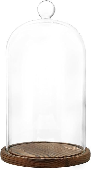 Glass Dome with Base,Glass Cloche Bell Jar,Display Case with Wooden Base for Plants,Collectibles ... | Amazon (US)