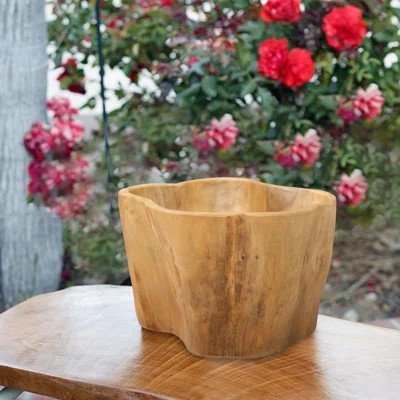 Abstract Bowl | Wayfair North America