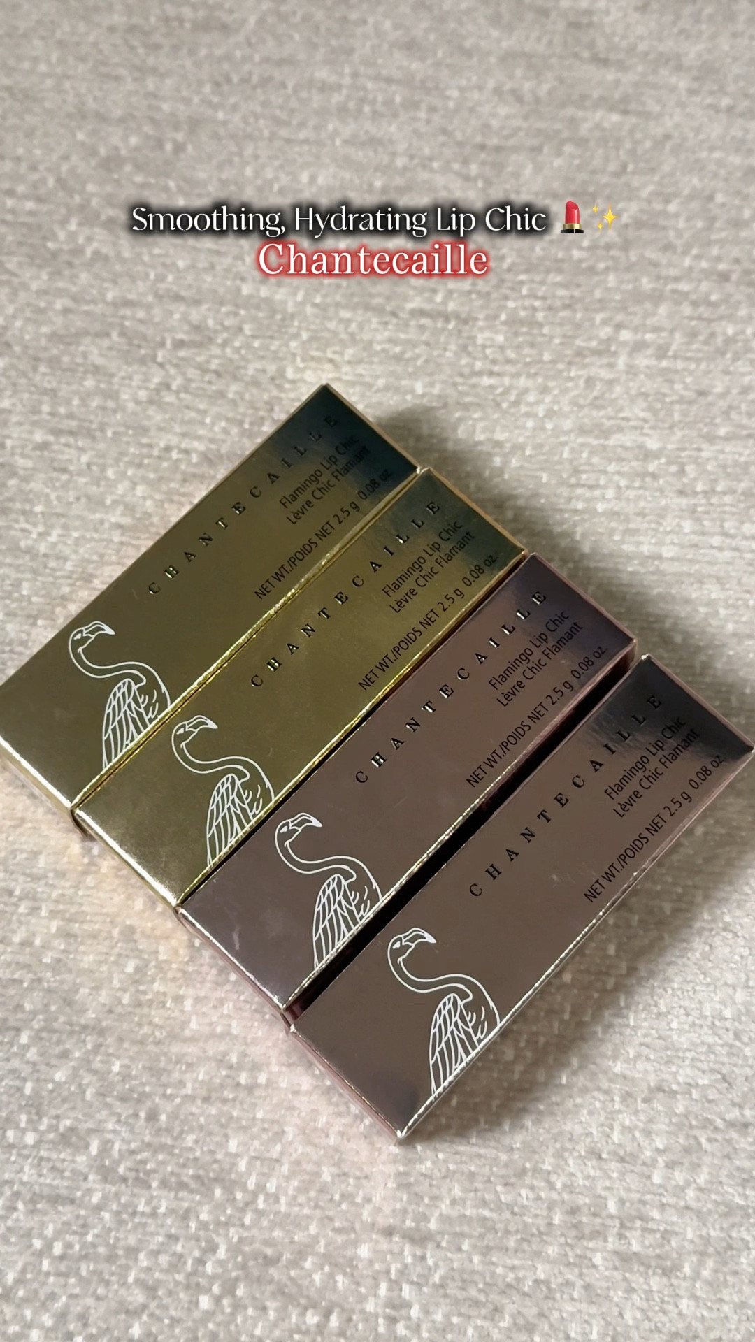 Try On: Chantecaille Flamingo Lip Chic Limited Edition ✨Smoothing and Hyaluronic Acid Infused Lipsticks!

#LTKBeauty