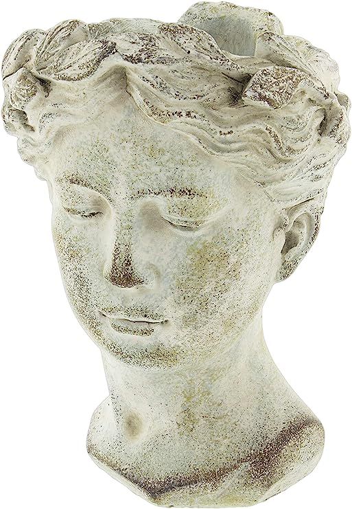 Distinctive Designs Greek/Roman Style Female Statue Head Cement Planter (Style 1) | Amazon (US)