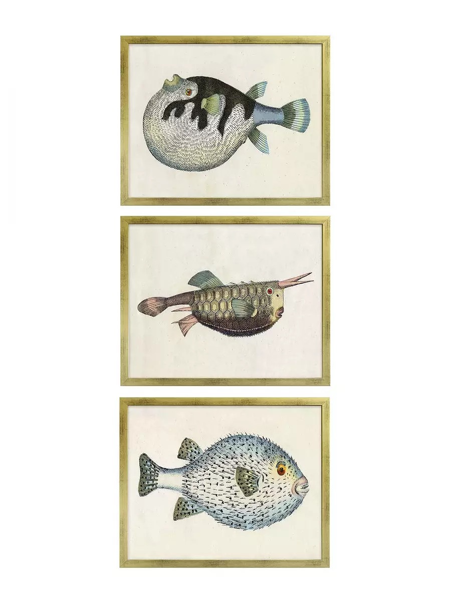 "Fish Series" in Gold Frame by Whalebone Creek | Serena and Lily