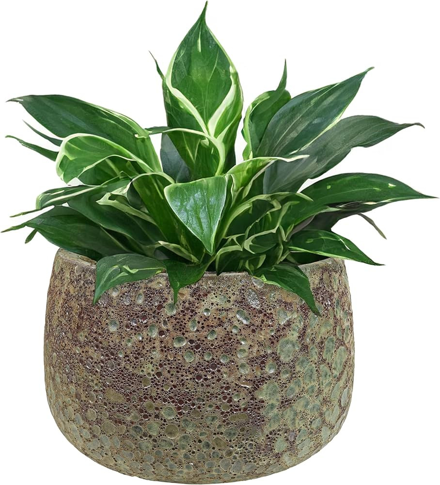 Sunnydaze 14" Lava Finish Ceramic Plant Pot - Features 1 Drainage Hole - 3.05 Gal Soil Capacity -... | Amazon (US)