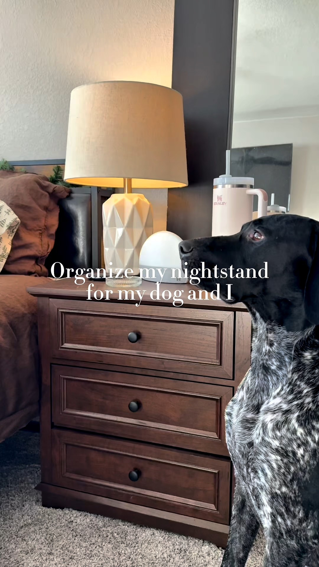 Organizing my new nightstand for my dog and I 🫶🏼

#LTKselfcare #LTKHome #LTKdayinmylife