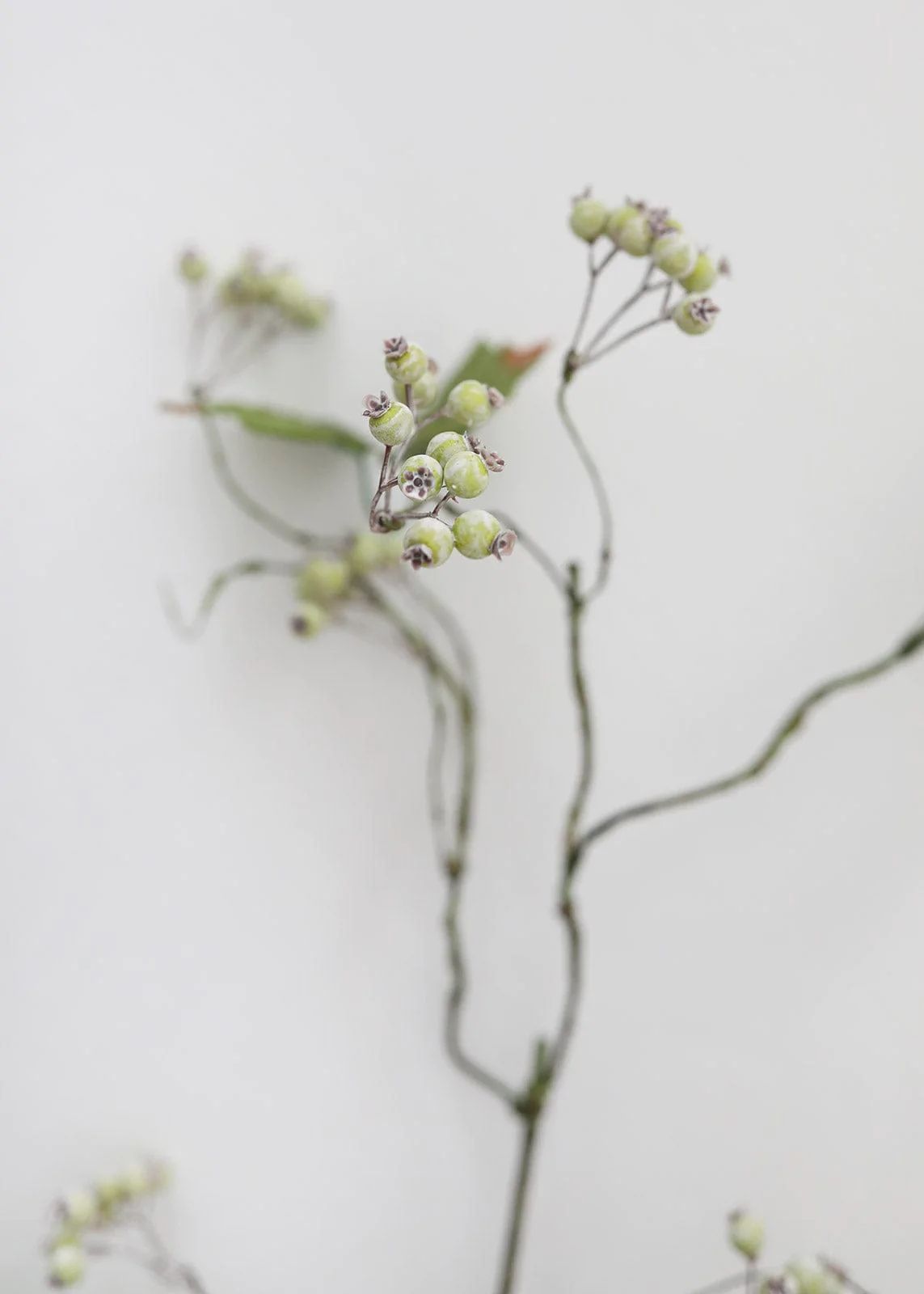 Green Artificial Berry Branch with Weathered Look - 44" | Afloral (US)