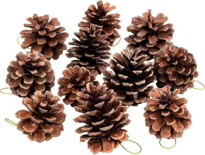 Whaline 25 Pcs 1.6-2.4 Inches Christmas Pine Cones Decoration with String, Natural Rustic Pinecon... | Amazon (US)