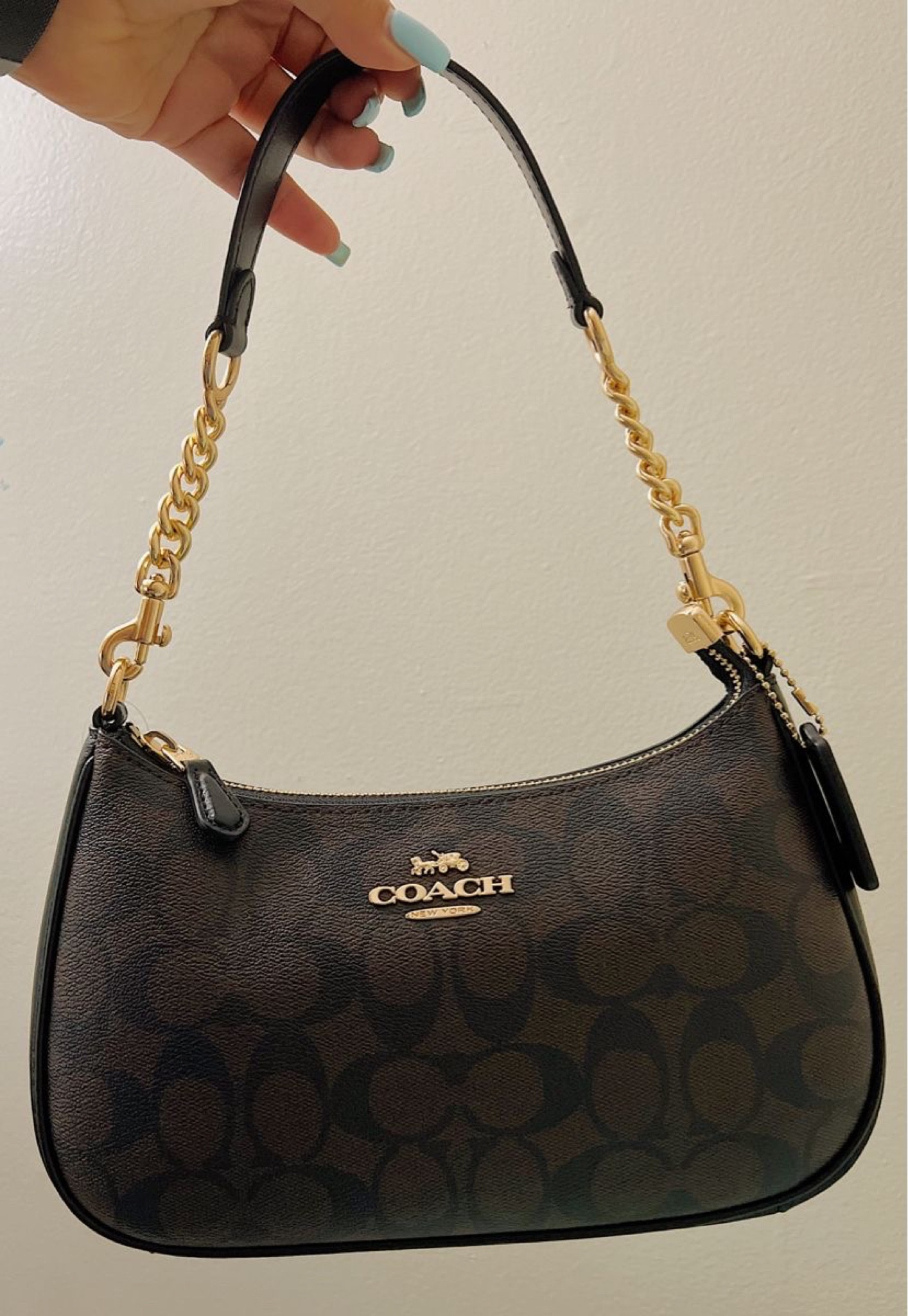 #coach #teri #bag #brown #signature #shoulderbag #gold #chain

#LTKMostLoved