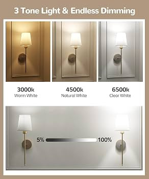 Battery Operated Wall Sconce Set of 2,Rechargeable Wall Lights with Dimmable Detachable Bulbs and... | Amazon (US)