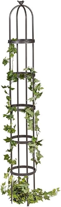 Evergreen 7 ft Garden Trellis for Climbing Plants Outdoor Metal Garden Obelisk, Indoor Plant Trel... | Amazon (US)