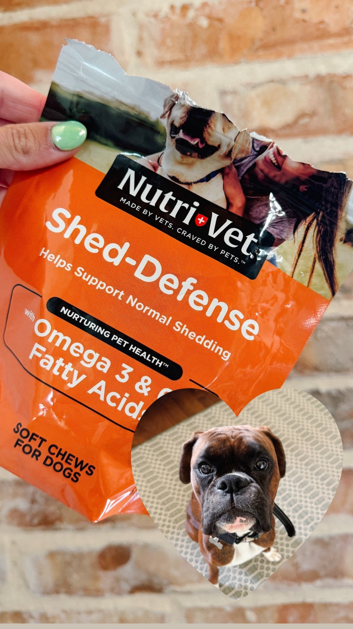 I can't STAND shedding-- FINALLY found something that helps. I can't explain how much it's helped our Boxer! He'll always take these!

#LTKPets #LTKHome