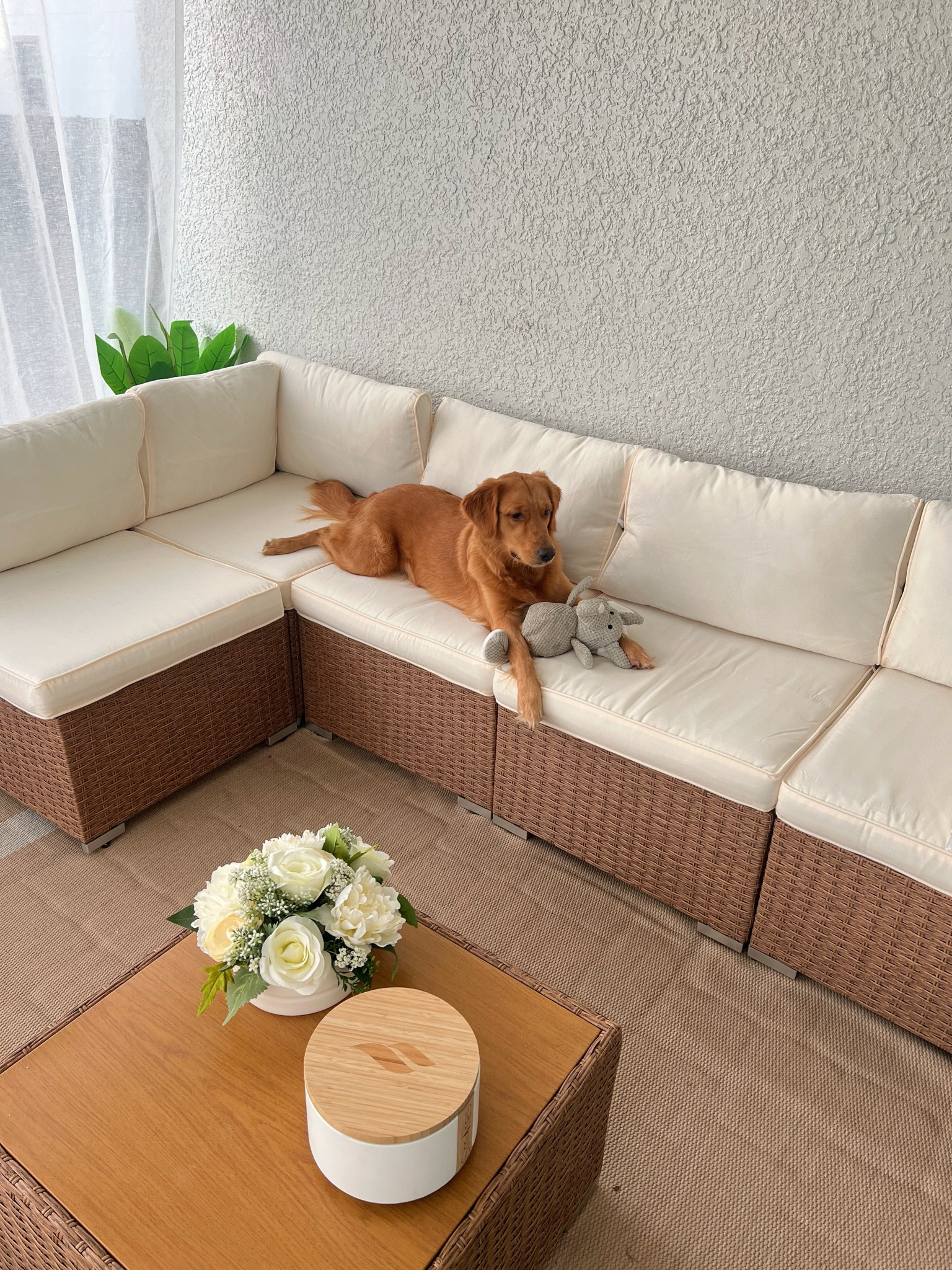 my favorite outdoor couch! super comfy☁️