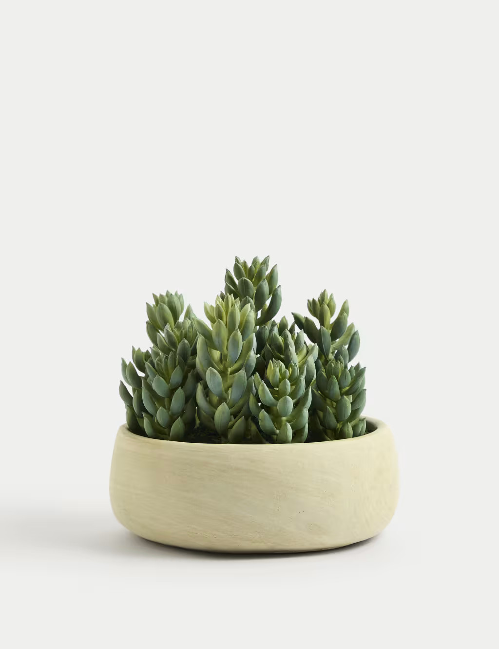 Artificial Succulents in Cement Pot | Marks & Spencer (UK)