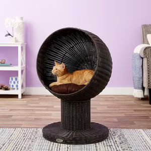 The Refined Feline Kitty Ball Cat Bed | Chewy.com