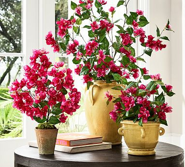 Faux Bougainvillea Bundle | Pottery Barn (US)