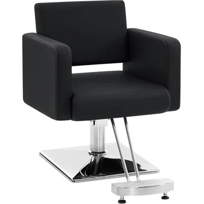 Ixchell Classic Styling Salon Chair for Hair Stylist, with Hydraulic Pump Shampoo Chair | Wayfair North America
