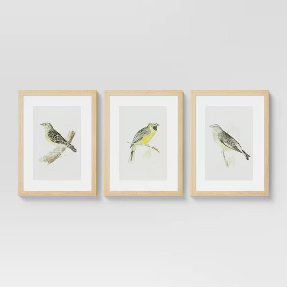 (Set of 3) 16" x 20" Birds Framed Under Glass - Threshold™ | Target