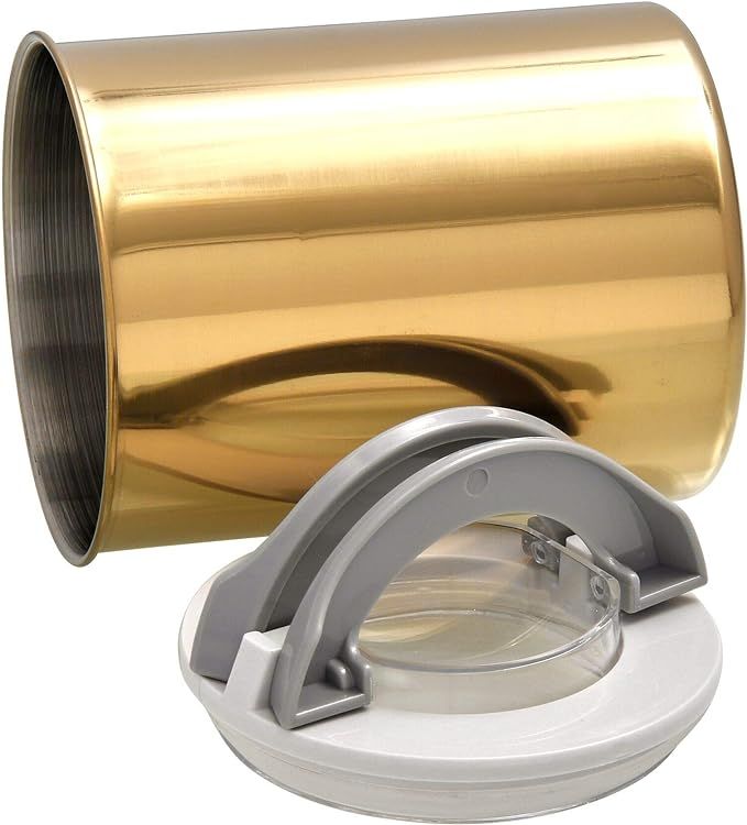 Purple Bird International, Gold Polished, Stainless Steel Canister, Food-Safe with Gray Leak-Proo... | Amazon (US)