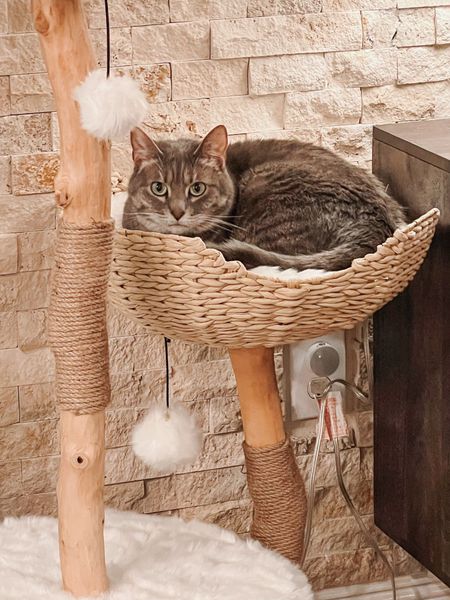 The prettiest cat tree ever ✨ this aesthetic cat tower is a great gift idea for any cat parents! 

#LTKhome #LTKHoliday #LTKGiftGuide