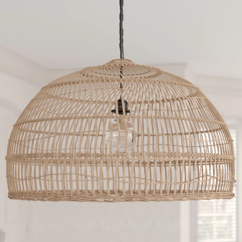 Eindhoven 1 - Light Single Dome Pendant | Wayfair North America