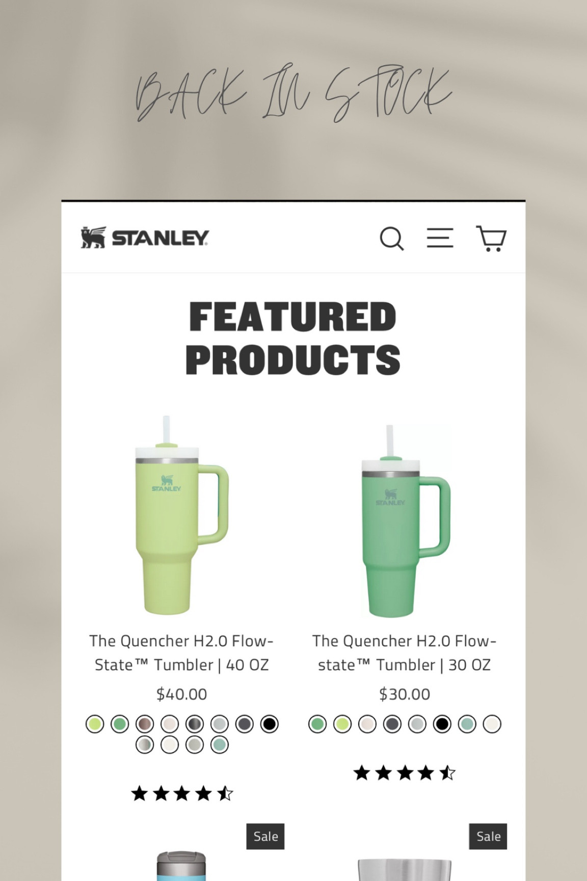 Back in stock!!! Stanley tumblers ❤️ They are going super fast so grab one quick! #stanley #stanleytumbler

#LTKFind #LTKunder50