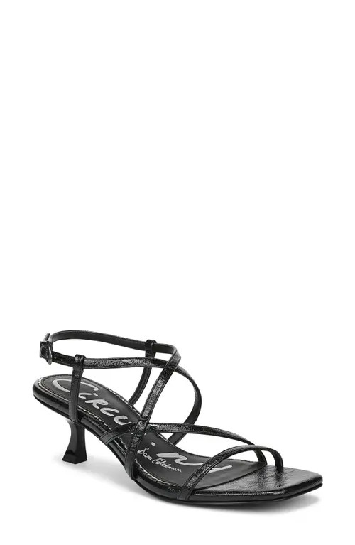 Circus NY by Sam Edelman Jasmine Strappy Sandal in Black at Nordstrom, Size 7 | Nordstrom