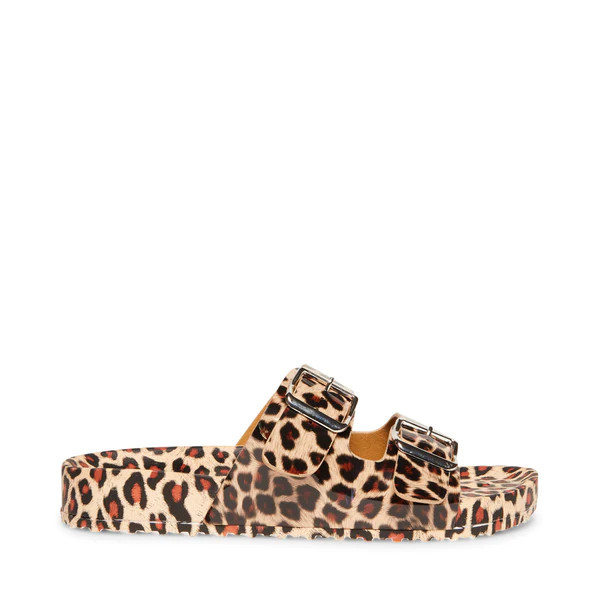 TEDDY-T LEOPARD | Steve Madden (US)