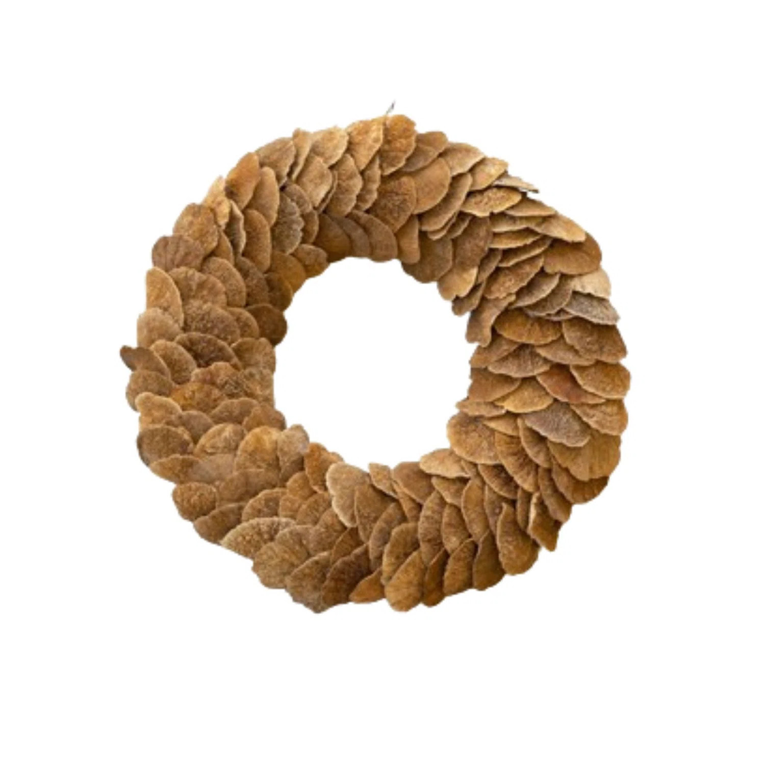 Handcrafted Fall Dried Mushroom 19'' Wreath | Joss & Main