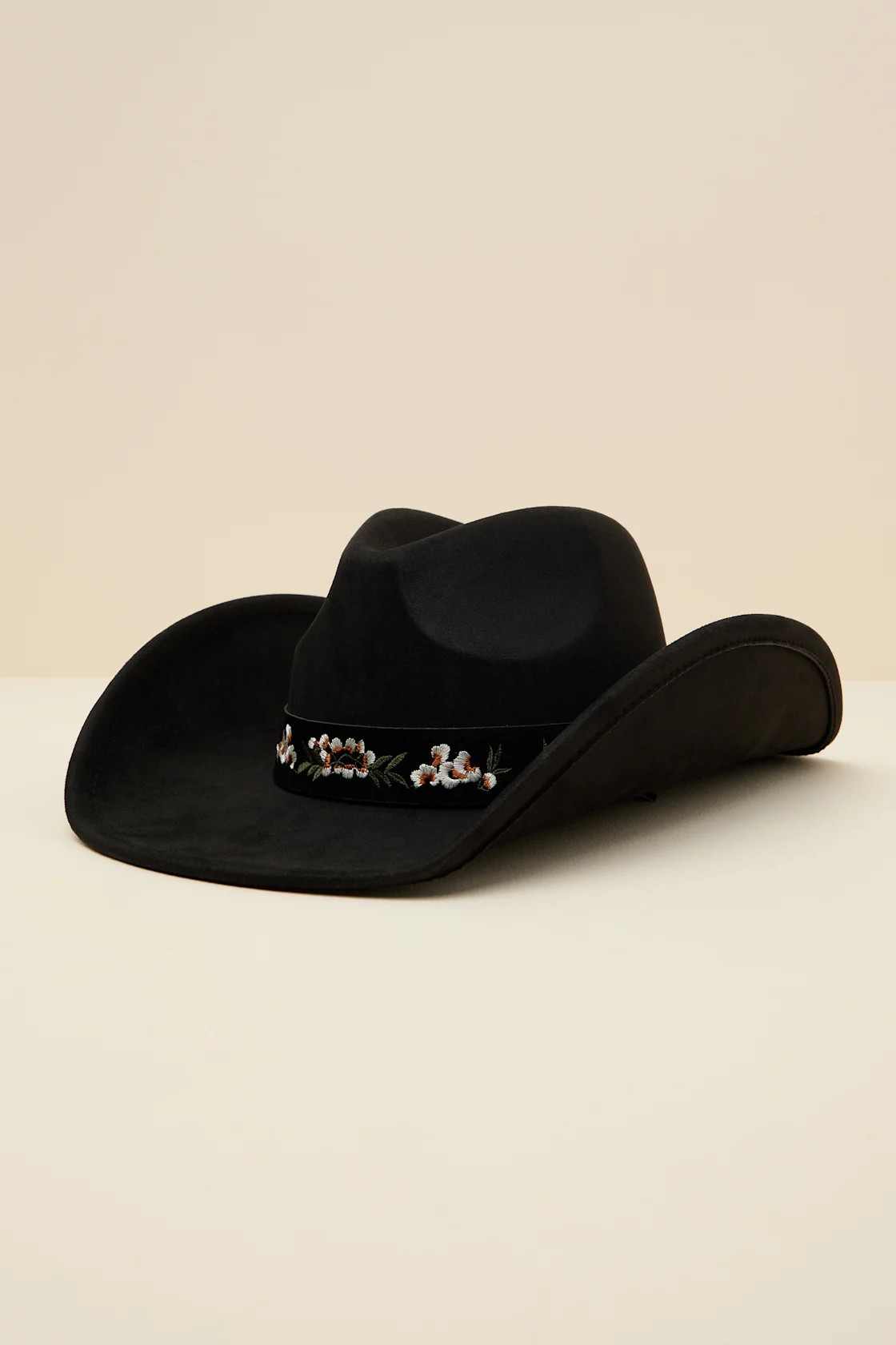 Lycia Black Suede Embroidered Western Hat | Lulus