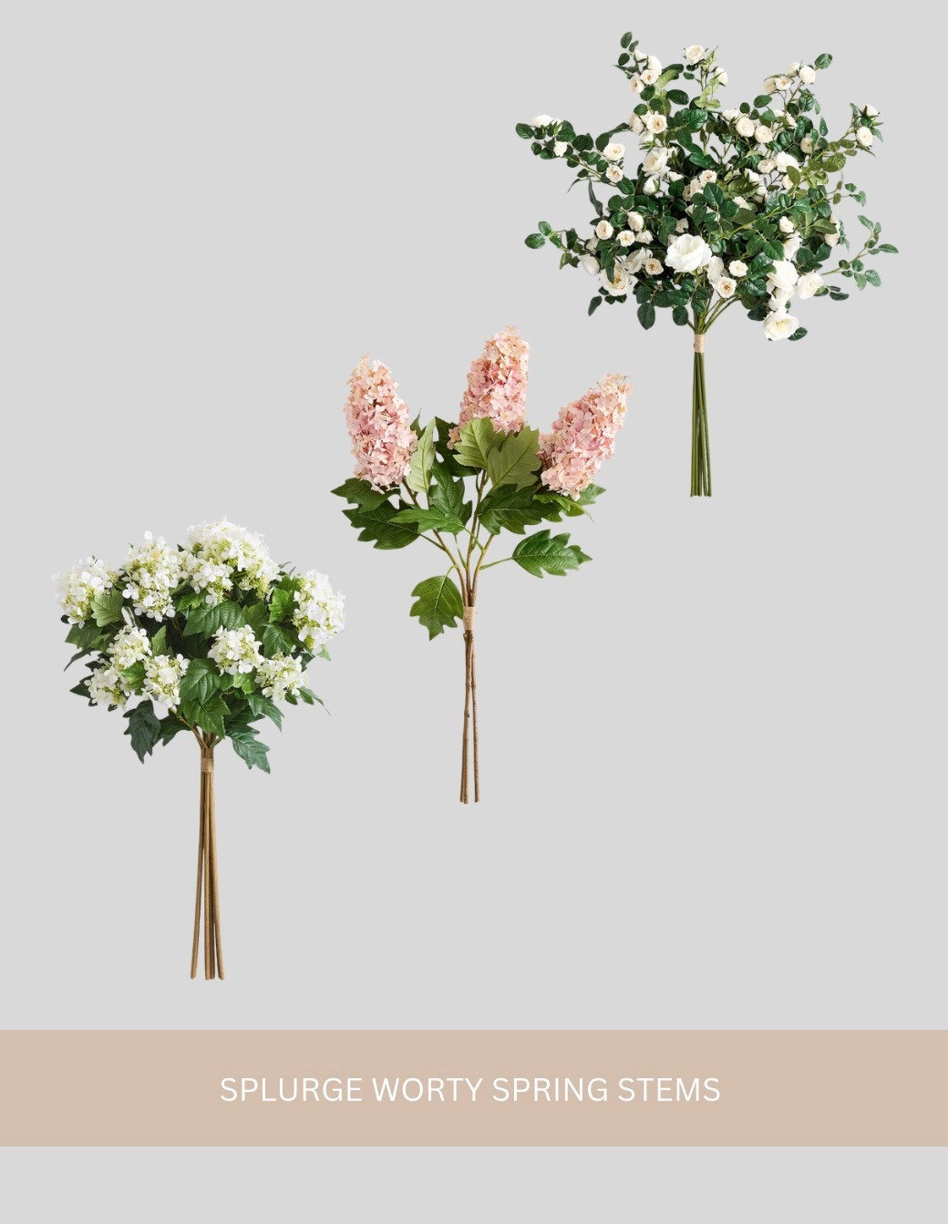 Splurge Worthy Spring Stems


#LTKHome #LTKSeasonal