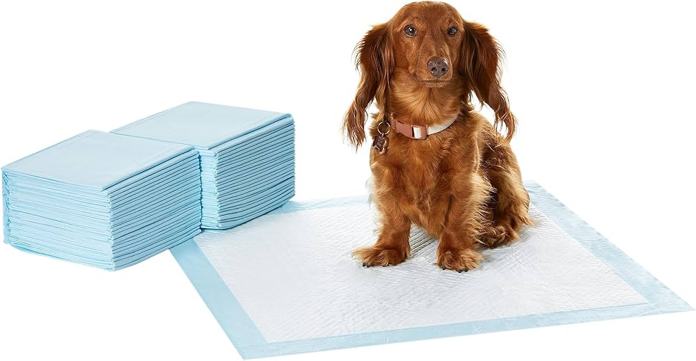 Amazon Basics Dog and Puppy Pee Pads with 5-Layer Leak-Proof Design and Quick-Dry Surface for Pot... | Amazon (US)