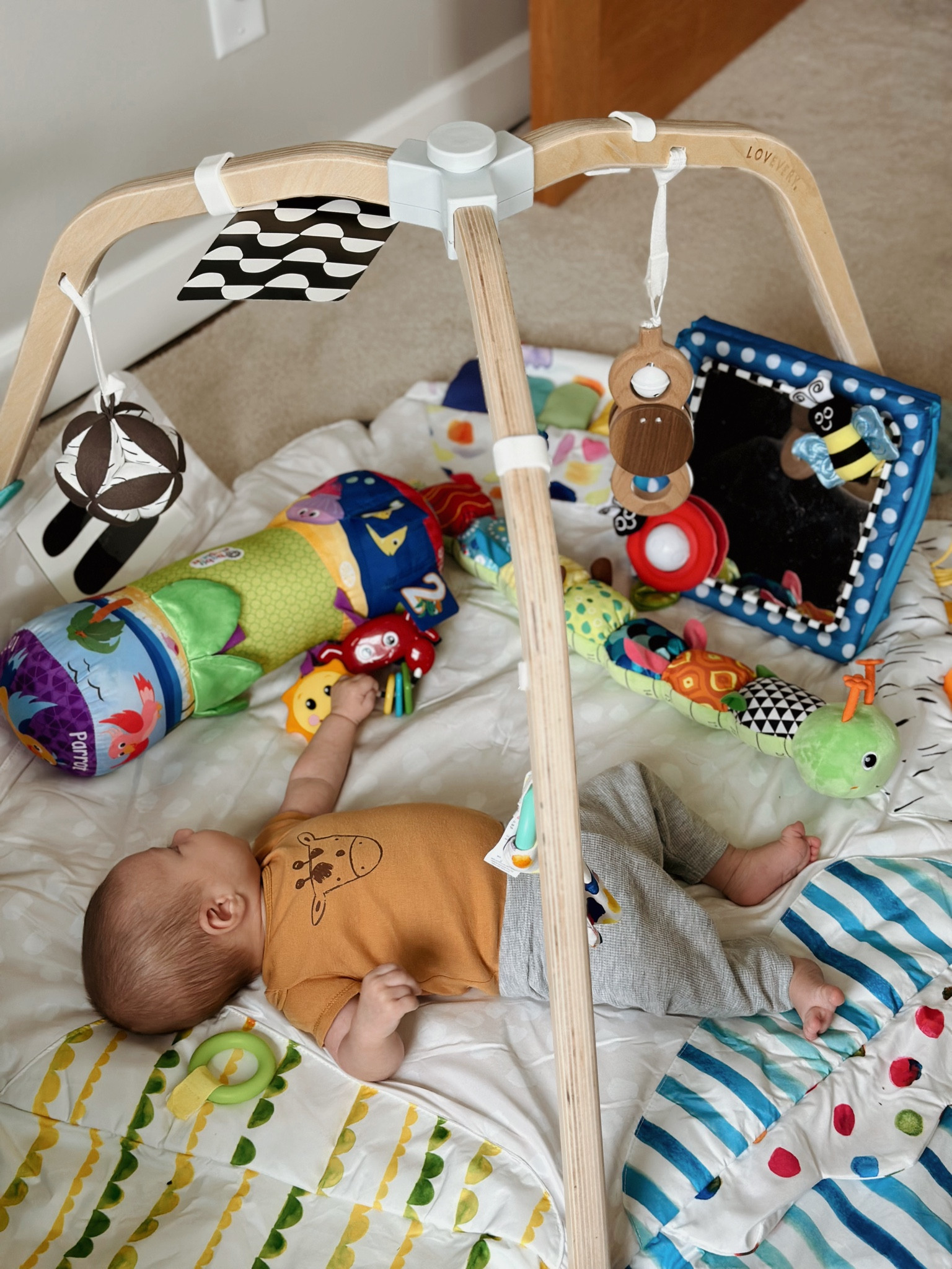 baby’s favorite toys right now 🫶🏼

tummy time, tummy time toys, tummy time activities, baby mirror, play gym, play mat, lovery play, infant toys, sensory toys for babies, Amazon baby toys 

#LTKbaby #LTKkids