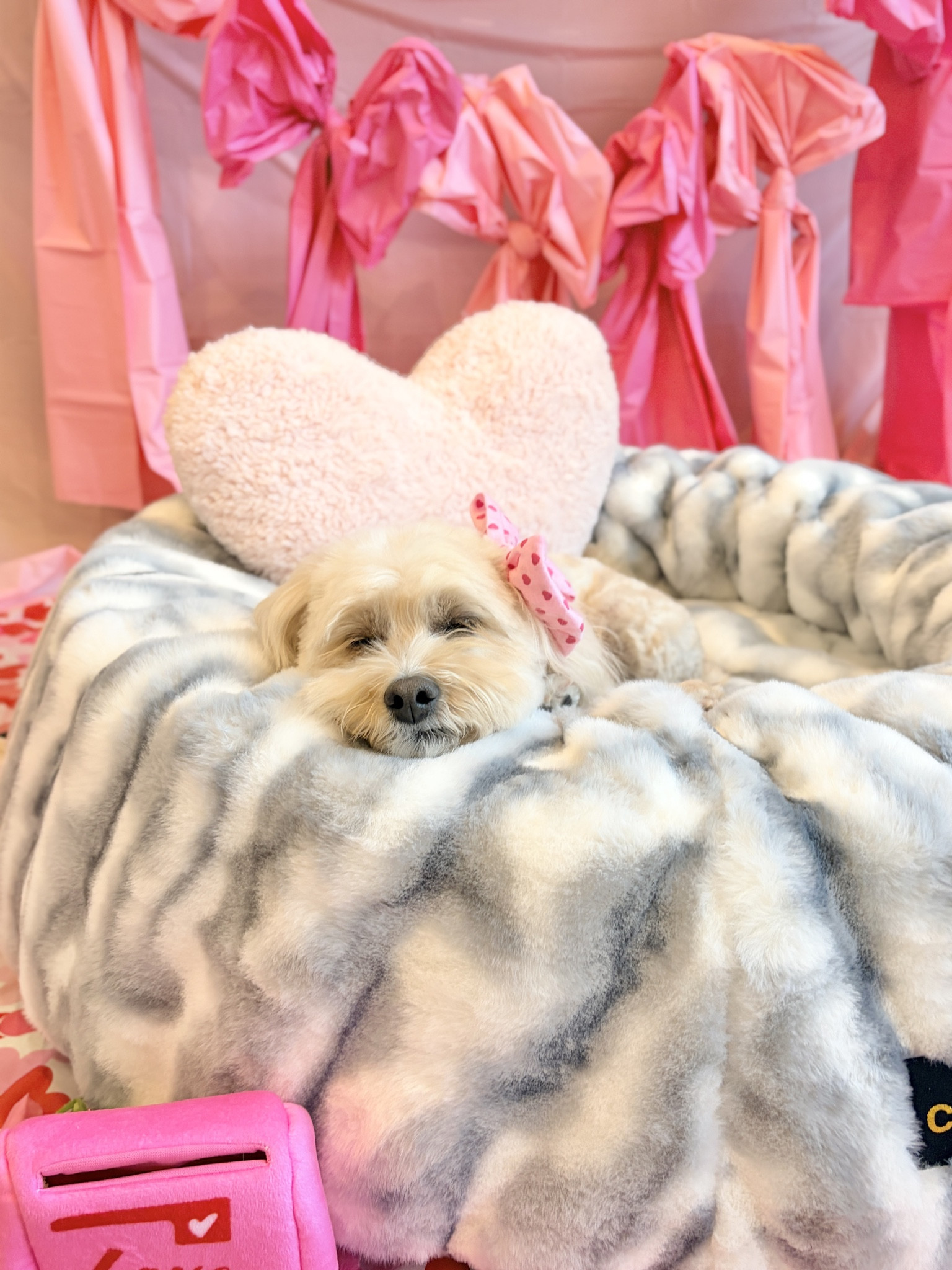 #LTKHome #LTKValentine #LTKmomlife