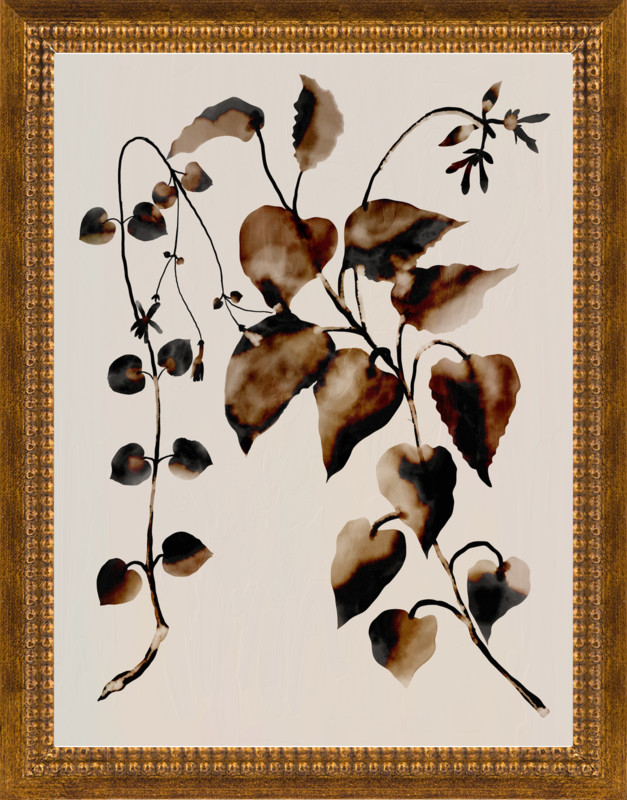 Botanical plant | Artfully Walls