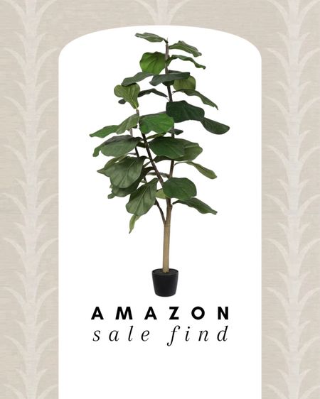 Amazon sale find 🖤 this faux fiddle tree is under $70! Get it now to add some greenery to your home! 

Faux tree, faux fiddle tree, faux greenery, Amazon sale, sale , sale find, sale alert, Living room, bedroom, guest room, dining room, entryway, seating area, family room, Modern home decor, traditional home decor, budget friendly home decor, Interior design, look for less, designer inspired, Amazon, Amazon home, Amazon must haves, Amazon finds, amazon favorites, Amazon home decor #amazon #amazonhome






#LTKSaleAlert #LTKHome #LTKFindsUnder100