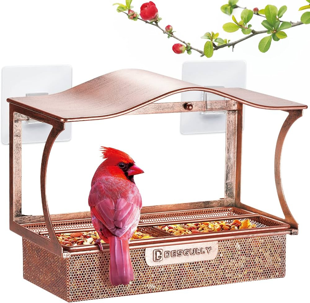 Window Bird Feeder, Desgully Metal Window Bird Feeder, Window Bird Feeders with Strong Suction Cu... | Amazon (US)