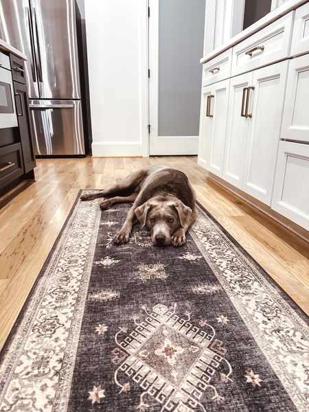 Kitchen runner, washable runner, washable rug, kitchen rug, black and white runner, distressed runner, Ruggable

#LTKFind #LTKhome #LTKfamily