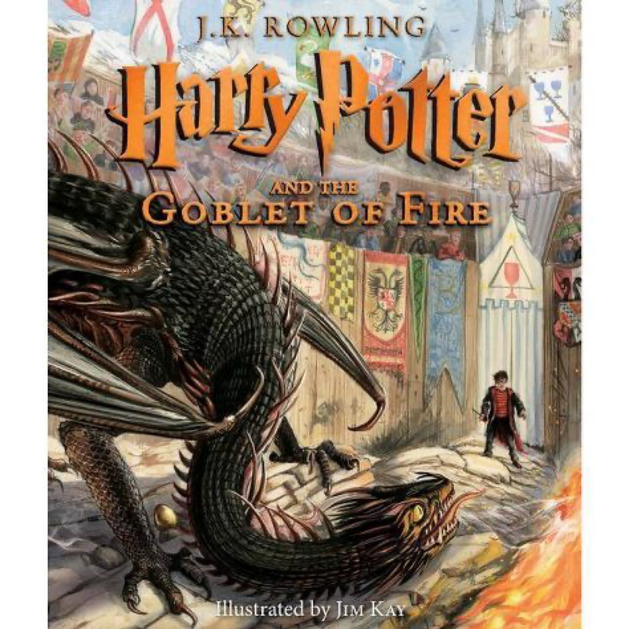 Illustrated Harry Potter book- goblet of fire 

#LTKkids #LTKGiftGuide #LTKhome
