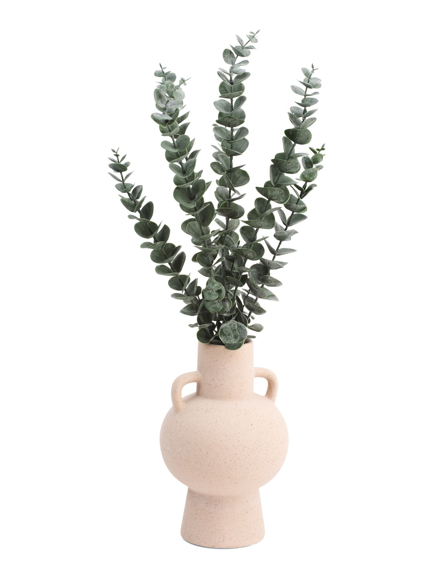 22in Eucalyptus Stems In Orb Vase | TJ Maxx