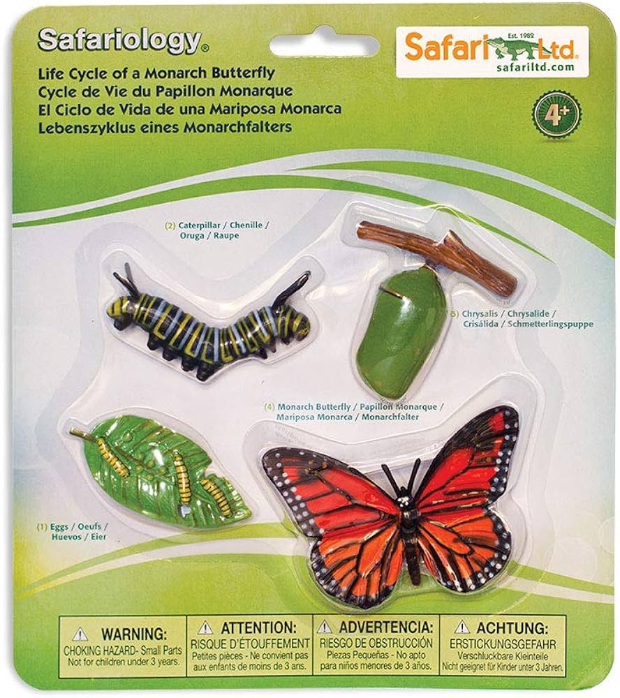 Safari Ltd. Life Cycle of a Monarch Butterfly - Educational Toy Figurines - Miniature Butterfly L... | Amazon (US)
