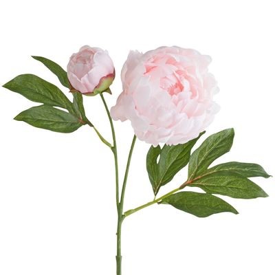 Blush Faux Peony Buds Spray | Pier 1 Imports