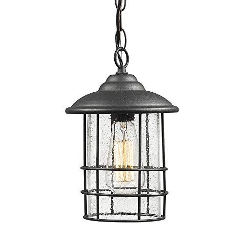 Emliviar 1-Light Outdoor Pendant Light, Exterior Hanging Lantern in Black Finish with Seeded Glass,  | Amazon (US)