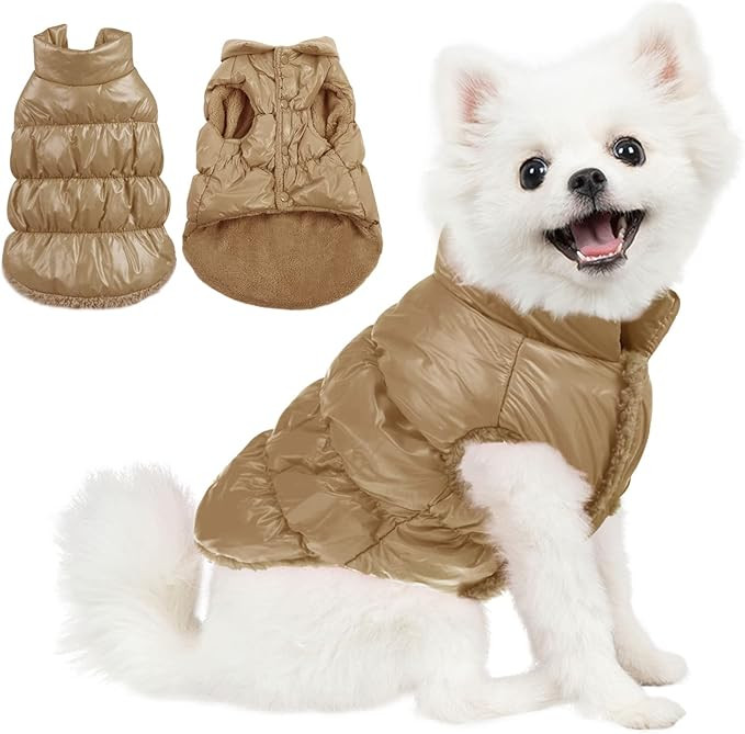 AOFITEE Dog Coat, Waterproof Dog Jacket, Winter Dog Coats for Small Dogs, Fleece Dog Snowsuit War... | Amazon (US)
