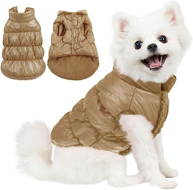 AOFITEE Dog Coat, Waterproof Dog Jacket, Winter Dog Coats for Small Dogs, Fleece Dog Snowsuit War... | Amazon (US)