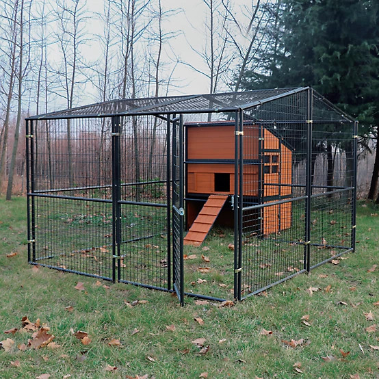 Producer's Pride  Defender Extra-Large Chicken Coop, 18 Chicken Capacity | Tractor Supply