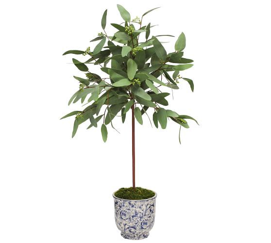 Faux Long Eucalyptus In Cachepot | Pottery Barn (US)