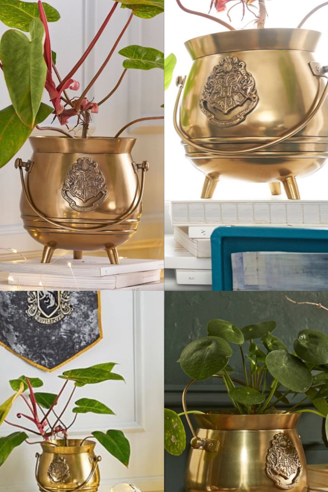 Herbology vibes all day. I have mine planted with a Ficus from Ikea that looks like a real Mandrake 😉

#LTKGiftGuide #LTKhome #LTKMostLoved