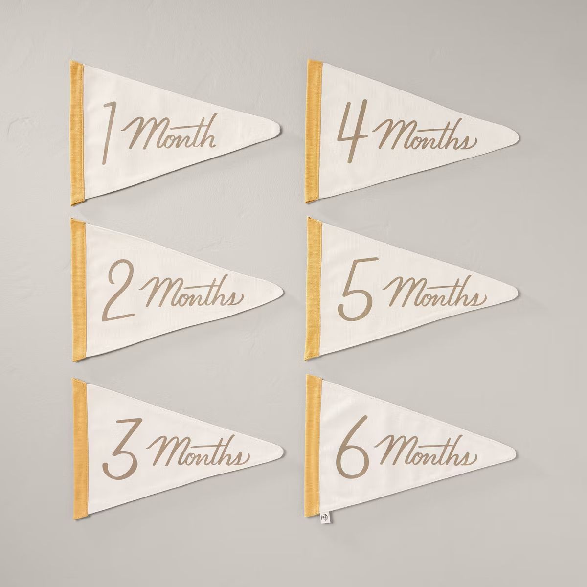 Newborn Milestone Pennants 6pc - Hearth & Hand™ with Magnolia | Target